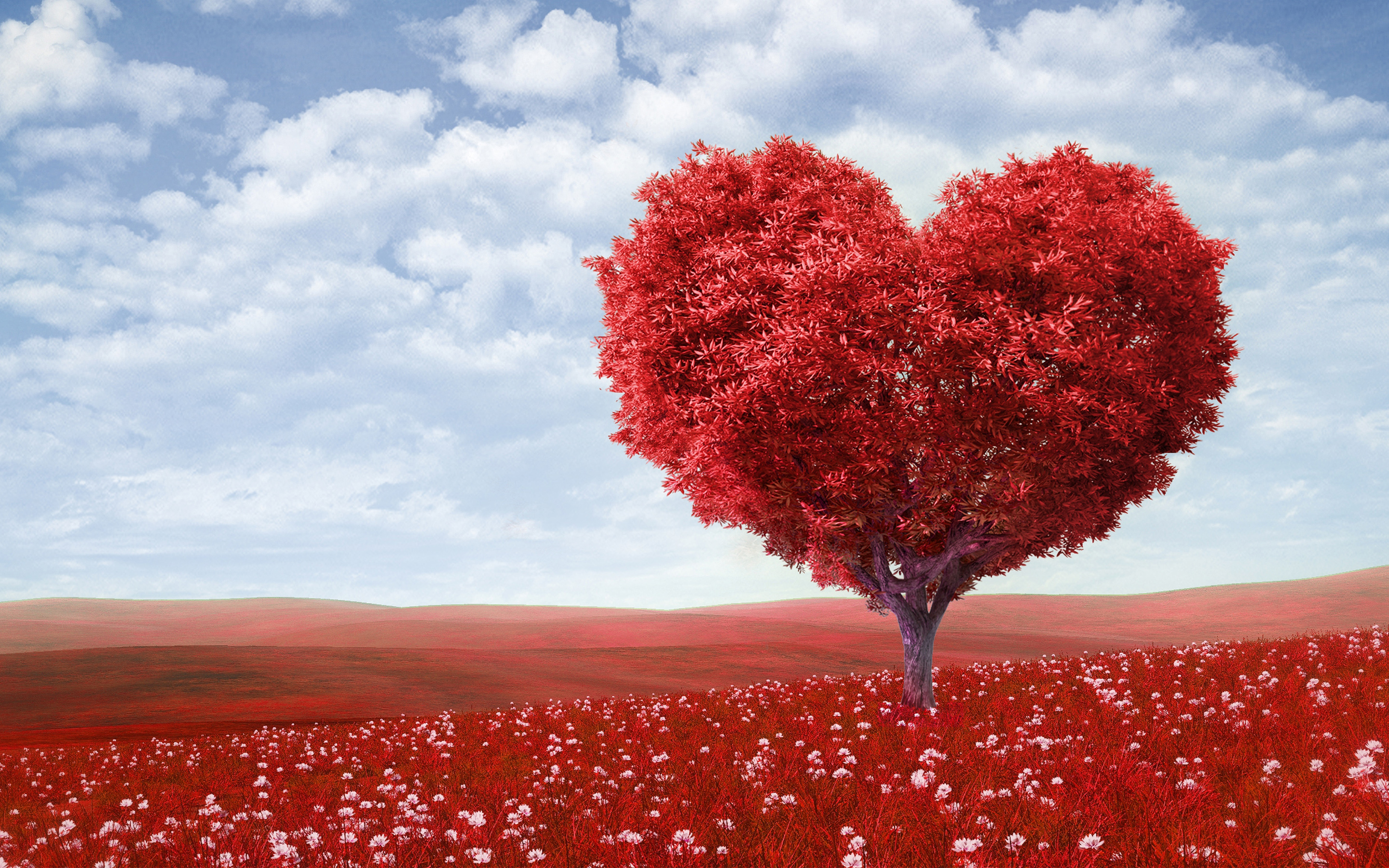 Red Love Heart Tree764739230 - Red Love Heart Tree - tree, Tomorrow, Love, Heart